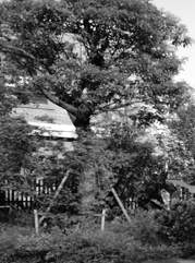 隆阳注册公司